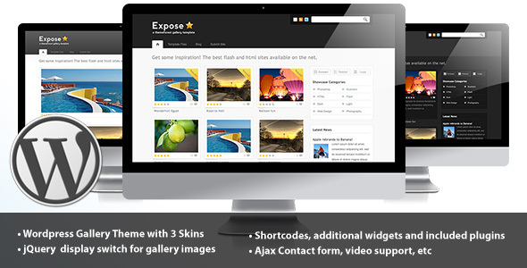 Expose Gallery WordPress Theme - 3 in 1