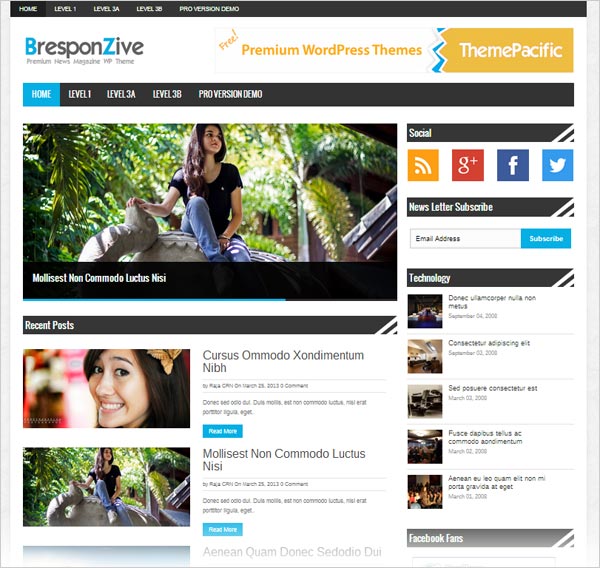 BresponZive Mag Pro free WordPress Theme - Free wordpress themes|Magazine