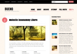Bueno free wordpress theme - Blog|Free wordpress themes