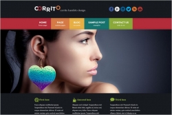 Corrito Wordpress Theme - Magazine