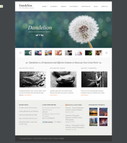 Dandelion - Powerful Elegant WordPress Theme - Portfolio