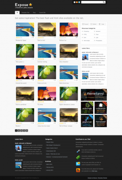Expose Gallery Wordpress Theme - 3 in 1 - Gallery|Portfolio