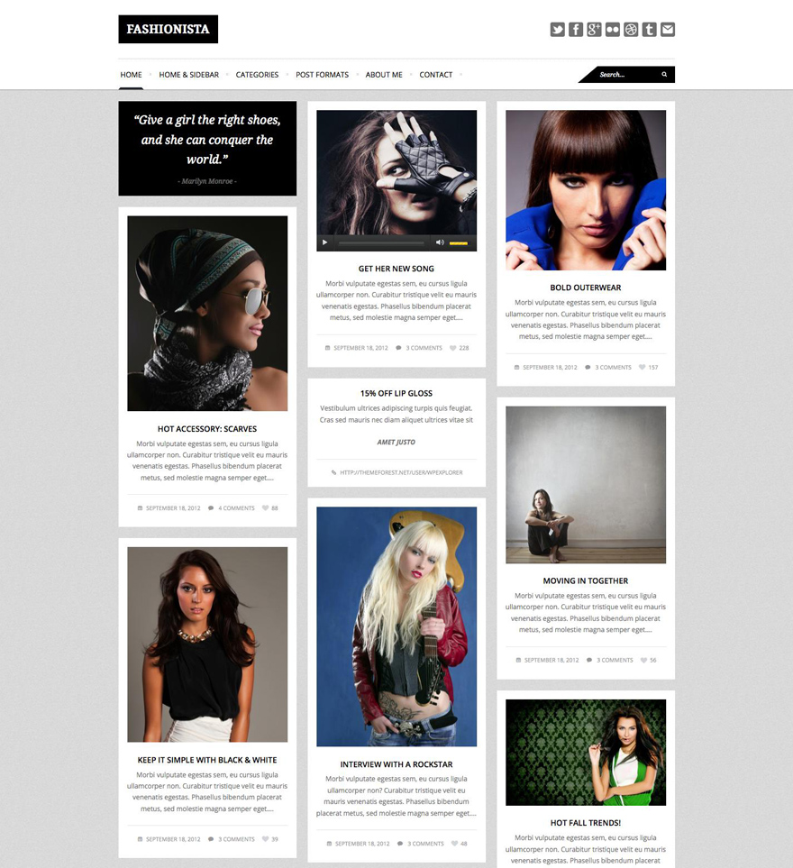 Fashionista - Responsive WordPress Blog Theme - Pinterest