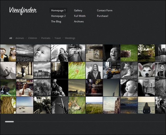 Viewfinder: Photography WordPress Theme - Gallery|Photography