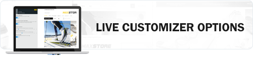 MaxStore PRO Customizer options